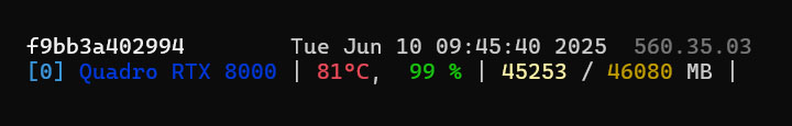 gpu stats screenshot of quadro rtx 8000 during inference